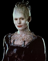 Reine Borg